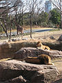 天王寺動物園のアフリカ・サバンナゾーン