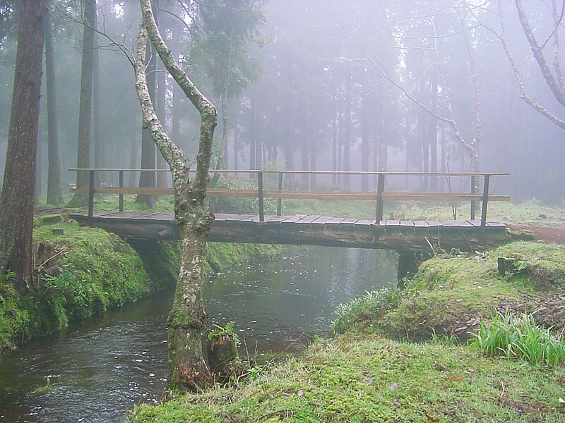 Image:Viveiros da Falca, ilha terceira, Açores, Ponte..jpg