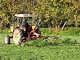 Høyvender i bruk på en Fiat-traktor i Italia. Foto: Luigi Chiesa