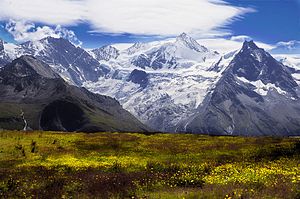 Zinalrothorn und Mominggletscher von Nordwesten