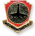 517th Air Defense Artillery Regiment "We Sweep the Sky"
