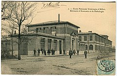 Alfort, École Nationale Vétérinaire