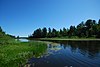 Allequash Lake and Pines.jpg