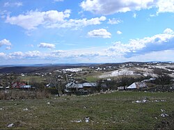 Skyline of Корни