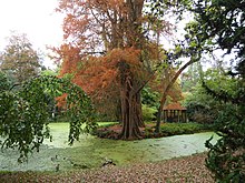 Jardin d'horticulture de Chartres.