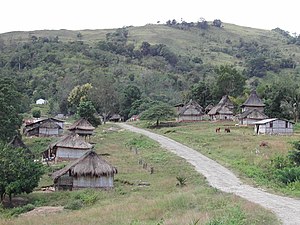 Ein Dorf im Nordosten des Sucos Caenlio, an der Hauptstraße von Lospalos nach Uatucarbau