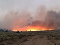 Flames of Cinder Butte Fire burning rangeland in central Oregon *** Photo shown on Main Page DYK Section 13 Oct 17