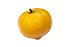 Яичный фрукт DS.jpg