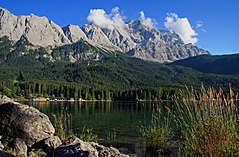 Jezero Ajbze ispod Cugšpicea, šuma na severnoj obali