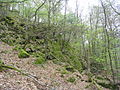 Die Granitklippe zieht sich mit Felsburgen und Blockhalden in einem langen Band vom Gipfel des Eichelbergs den steilen Nordhang hinab.