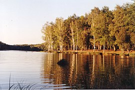 Le côté sauvage de l'étang en 1997.