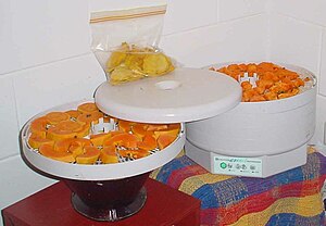 Electrical food dehydrator consist of a hot ai...