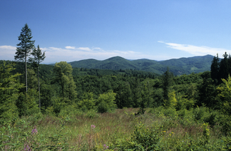 Blick vom West- auf den Ostteil des Warthagebirges (Góry Bardzkie) ganz rechts der Königshainer Spitzberg (Ostra Góra)