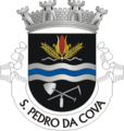 Freguesia São Pedro da Cova