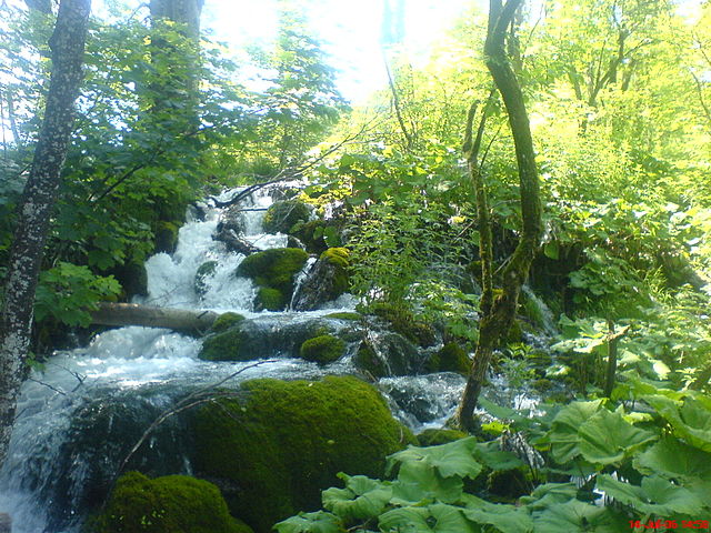 File:HR_-_Plitvice_(Plitvička_Jezera)14.JPG