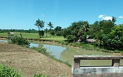 Skyline of ကင်းမော်