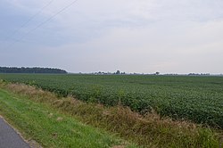 Fields north of Weston