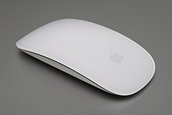 Magic Mouse.jpg