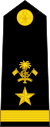 Мальдивская армия OF-4.svg