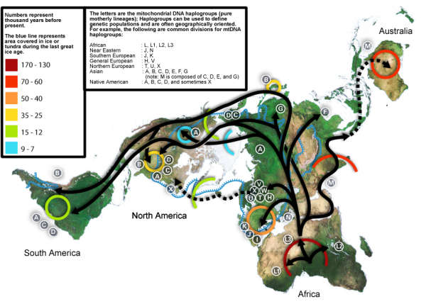 600px-Map-of-human-migrations.svg.png