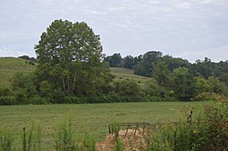 Fields northwest of Darwin on State Route 681