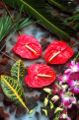 Composición floral con inflorescencias de anthurium