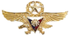 Значок PAF Gold Wings.png