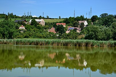 Malhostice : étang.