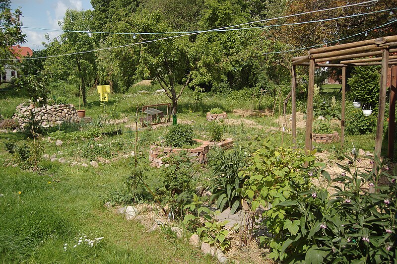 File:Permaculture garden.JPG