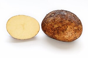 Solanum tuberosum - potato
