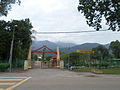 Saujana Asahan, with Mount Ledang rising in the background