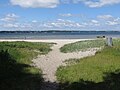 Der Solitüder Strand im Sommer 2015