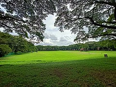 UP Diliman Sunken Garden