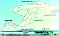 02.32, 25 Kasım 2005 tarihindeki sürümün küçültülmüş hâli