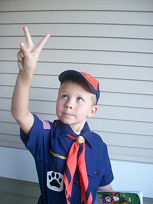 The Cub Scout Sign