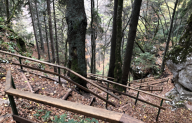 Steep trail with steps and handrails