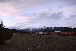 Train and elk in Jasper