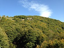 Шума на источната падина под врвот Лисец