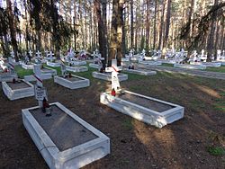 Polish military cemetery from World War I