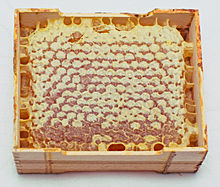 Honey-laden honeycomb in a wooden frame Sotovyi miod.jpg