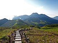 2021年6月5日 (土) 06:27時点における版のサムネイル