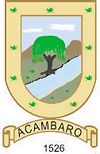 Coat of arms of Acámbaro