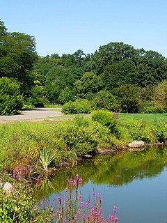 Arnold Arboretum - август 2005 (б) .JPG