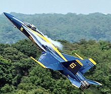 Water condensation in the strake vortices of a Blue Angels Hornet BlueAngelsFA18.jpg