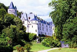 Skyline of Chissay-en-Touraine