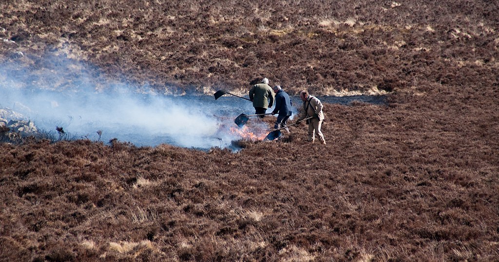 http://upload.wikimedia.org/wikipedia/commons/thumb/c/c9/Controlling_gorse_on_Dartmoor_764.jpg/1024px-Controlling_gorse_on_Dartmoor_764.jpg