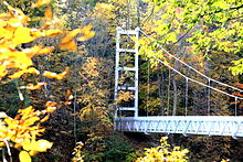 One of several footbridges that span Cornell's gorges and ease commuting from housing to the various on-campus academic buildings Cornell footbridge.jpg