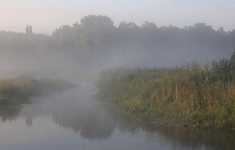 Река Десна (Десенка), приток Южного Буга на рассвете