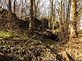 Ruine der unteren Mühle in der Wüstung Obrovice