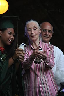 Uprostřed obrázku Jane Goodallová vypouštějící společně se dvěma pomocníky dvě majny Rothschildovy